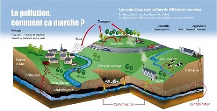 pollution de l'eau du robinet 